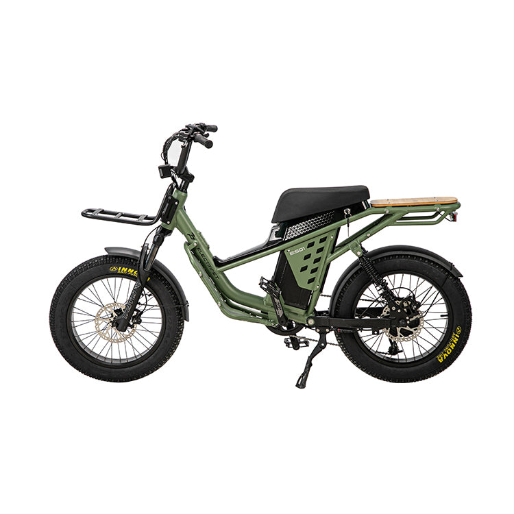 1300W Fat Tire Electric Adventurer bike
