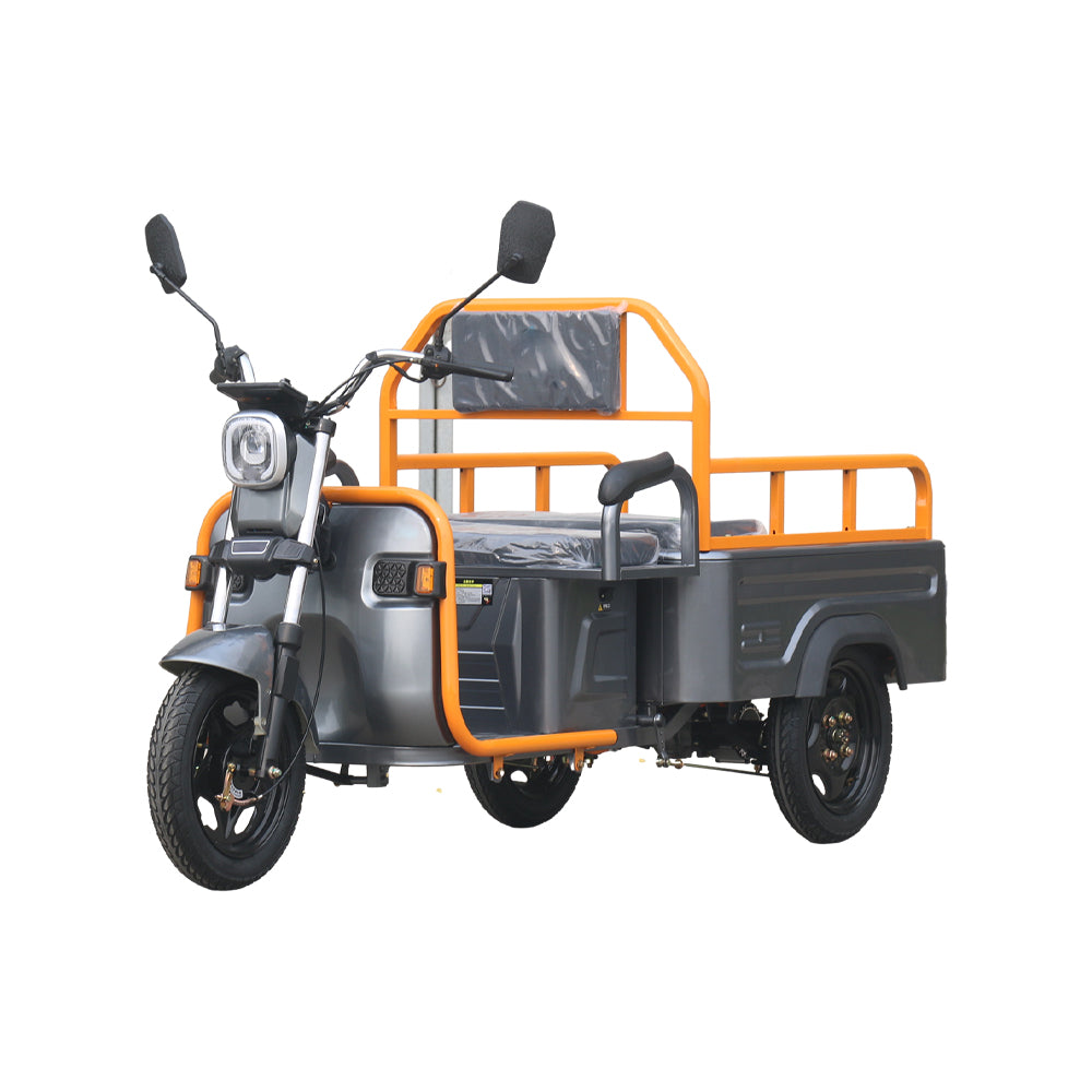 Electric Cargo Tricycle(Pre-Sale)
