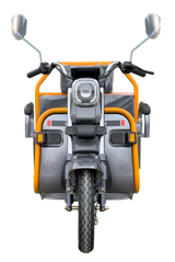 Electric Cargo Tricycle(Pre-Sale)
