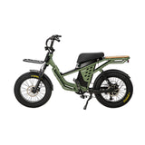 1300W Fat Tire Electric Adventurer bike