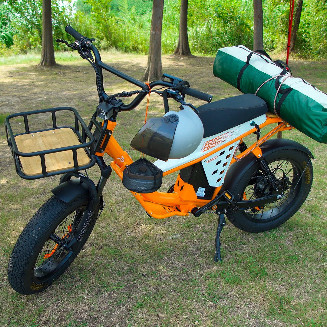 48V 50Ah Long Range Fat Tire Electric Bike for Adults, 750W Camping Ebike with 1500W Peak Motor