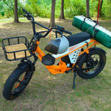 48V 50Ah Long Range Fat Tire Electric Bike for Adults, 750W Camping Ebike with 1500W Peak Motor