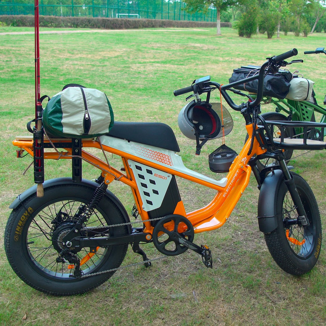 48V 50Ah Long Range Fat Tire Electric Bike for Adults, 750W Camping Ebike with 1500W Peak Motor