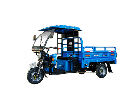 H21-180 60V/120Ah 1500W 45km/h Lead Acid Electric Trike, ETrike