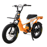 48V 50Ah Long Range Fat Tire Electric Bike for Adults, 750W Camping Ebike with 1500W Peak Motor