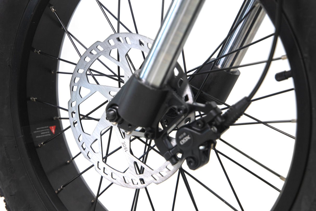 ES-V1 Fat Tire Electric Bike(Pre-Sale)