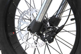 ES-V1 Fat Tire Electric Bike(Pre-Sale)
