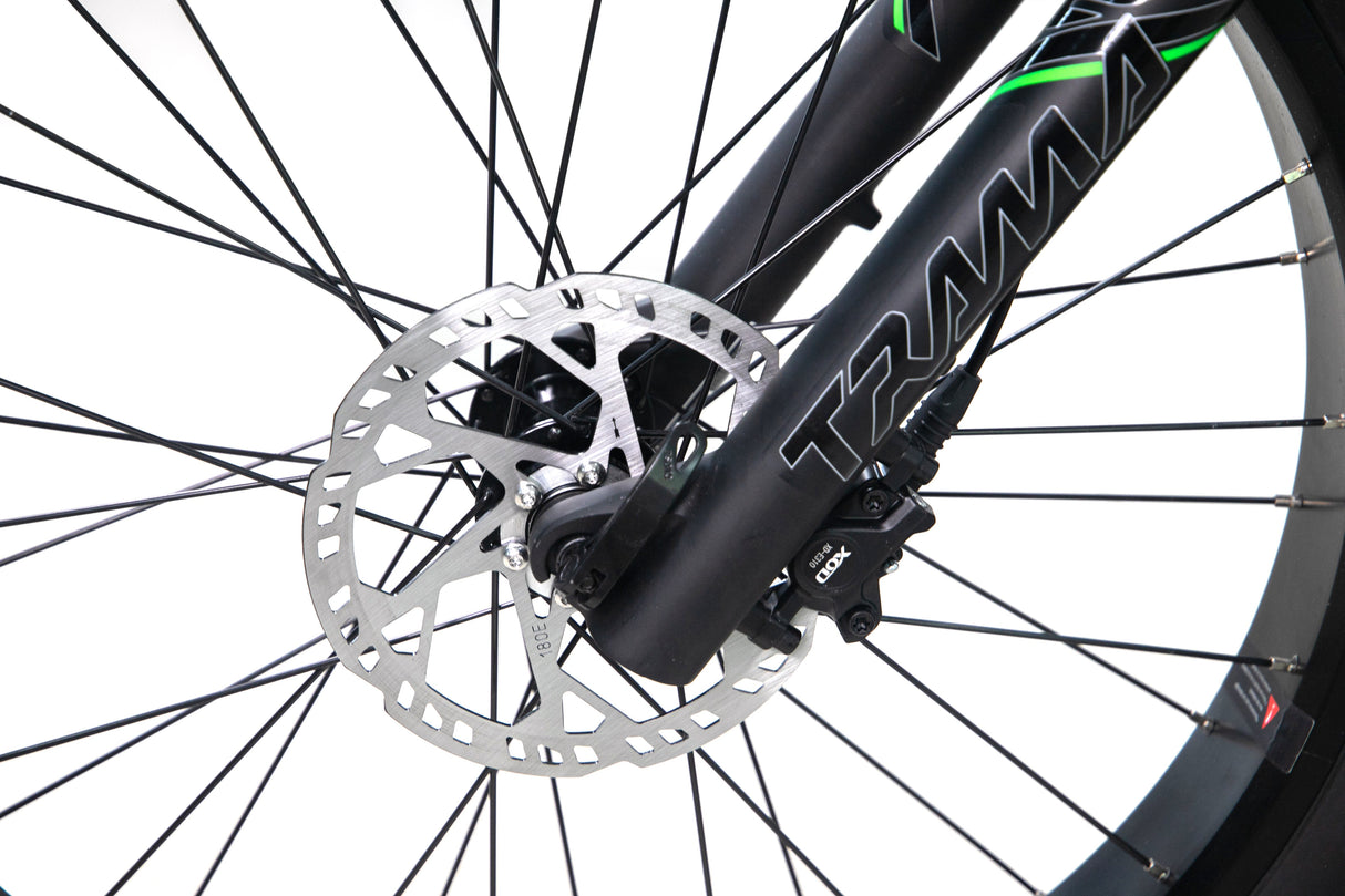 ES-V1 Fat Tire Electric Bike(Pre-Sale)